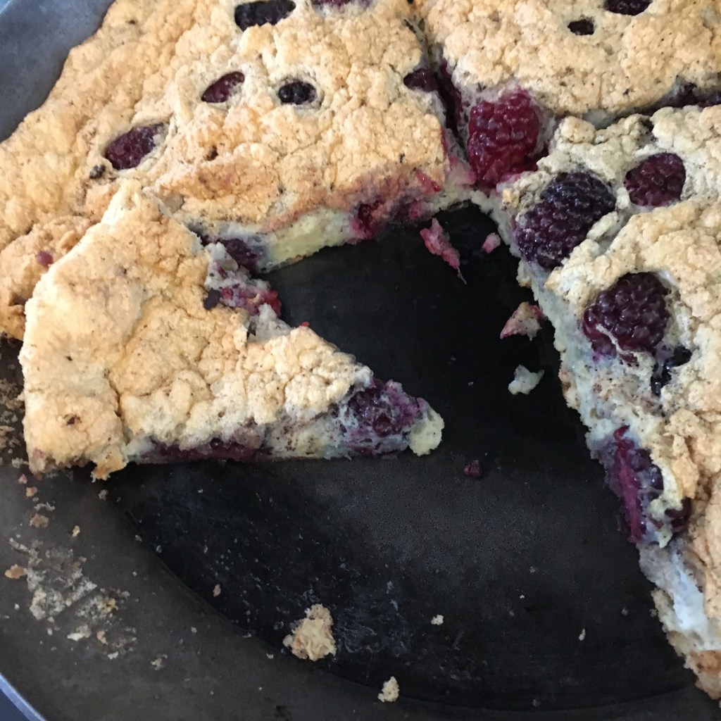 Blackberry Egg Strata