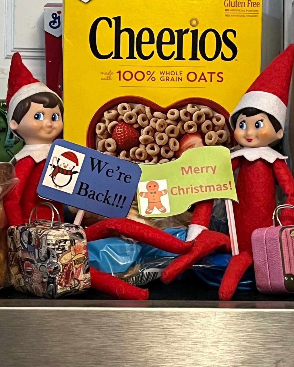 Let the Elf Adventures&nbsp;Begin!