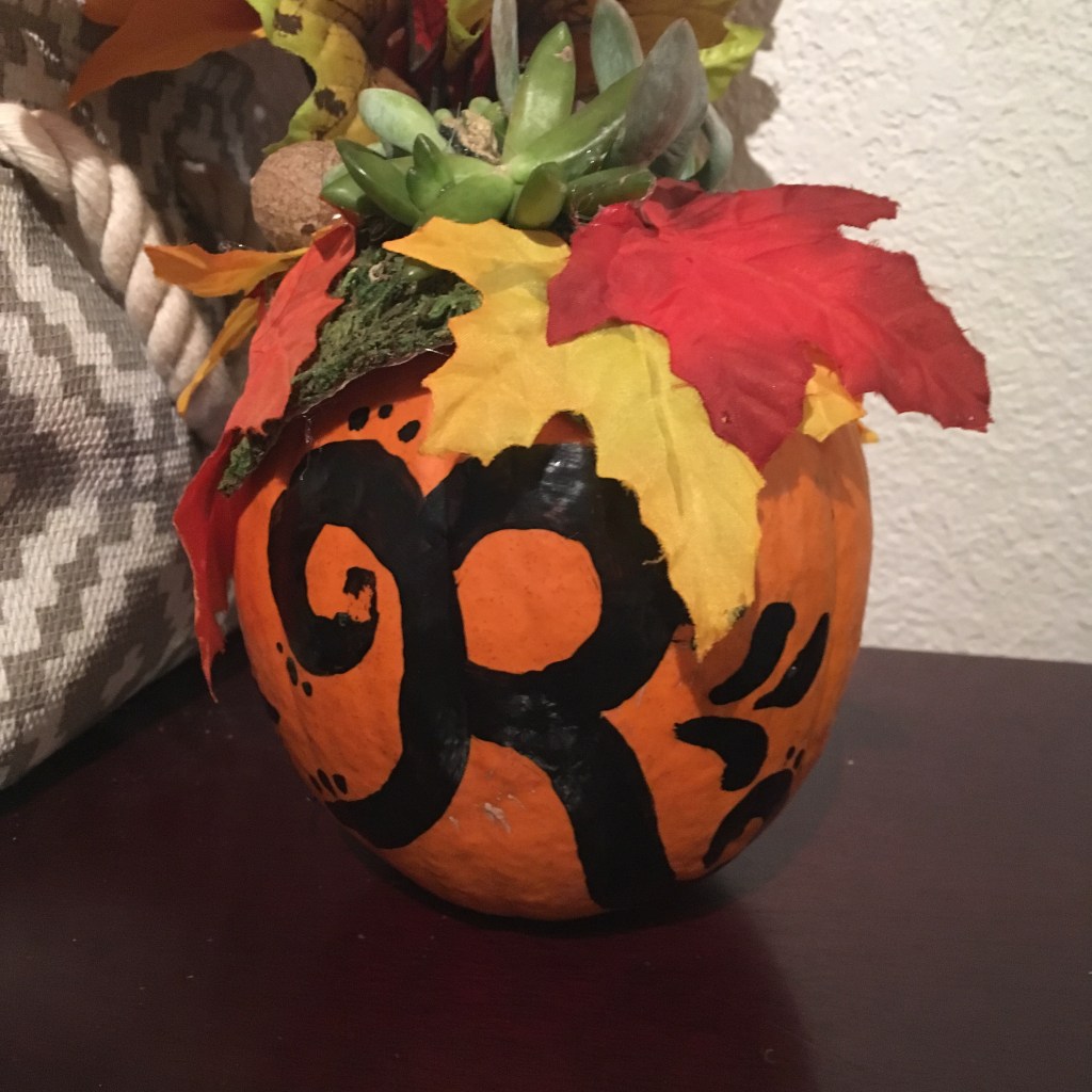 Pumpkin Succulents