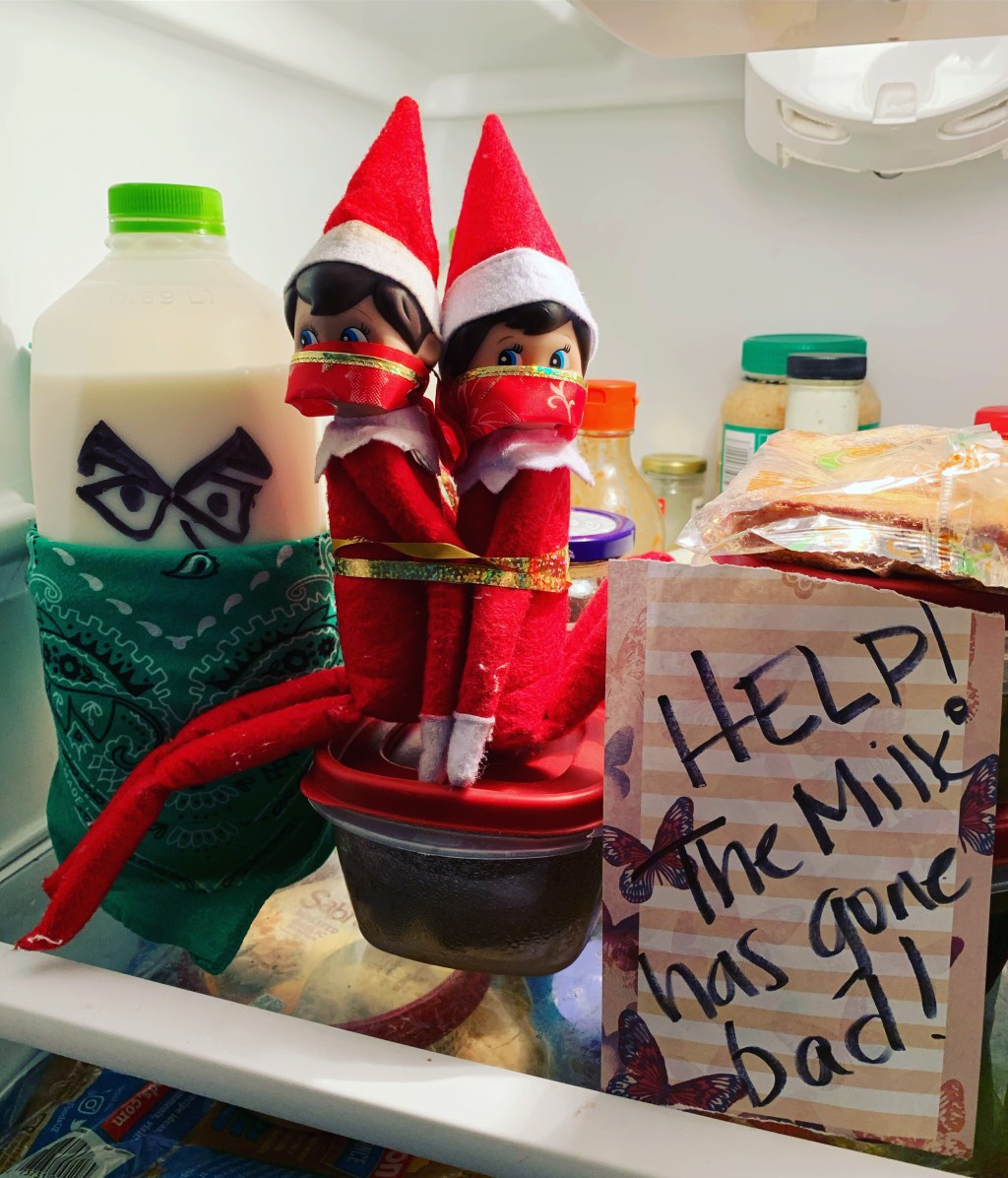 Elf on the Shelf 2020: Week&nbsp;Two