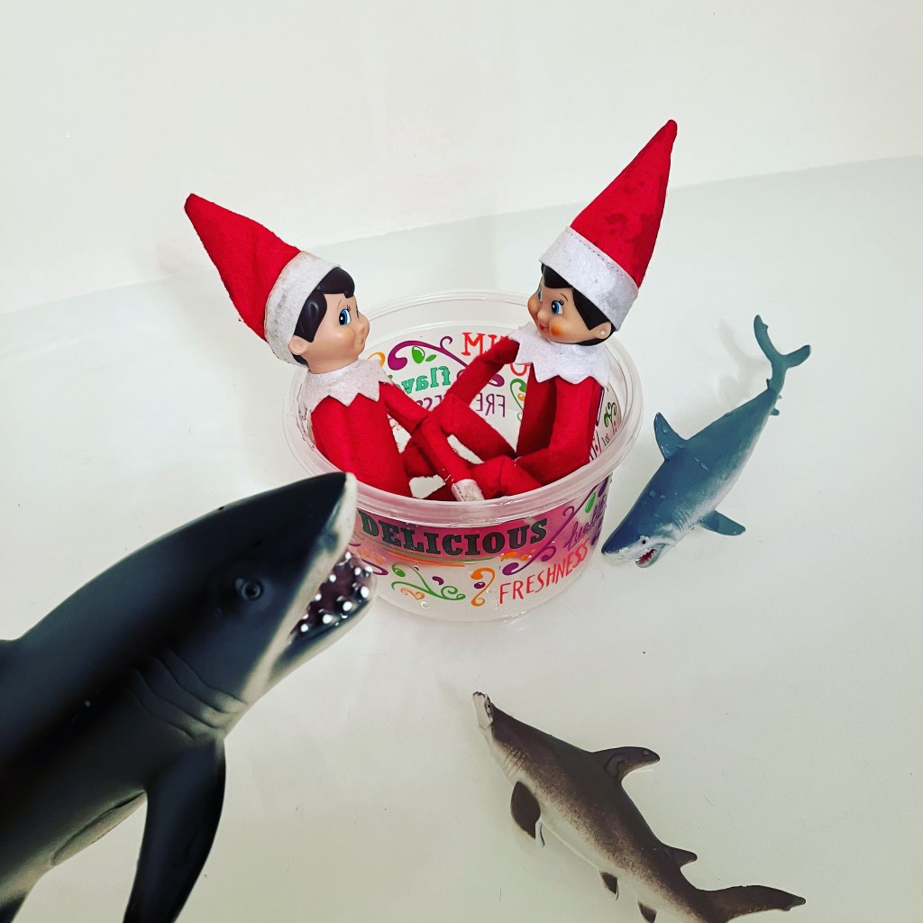 Behind the Scenes: How Our Elves Create Enchanting Scenes and&nbsp;Dioramas