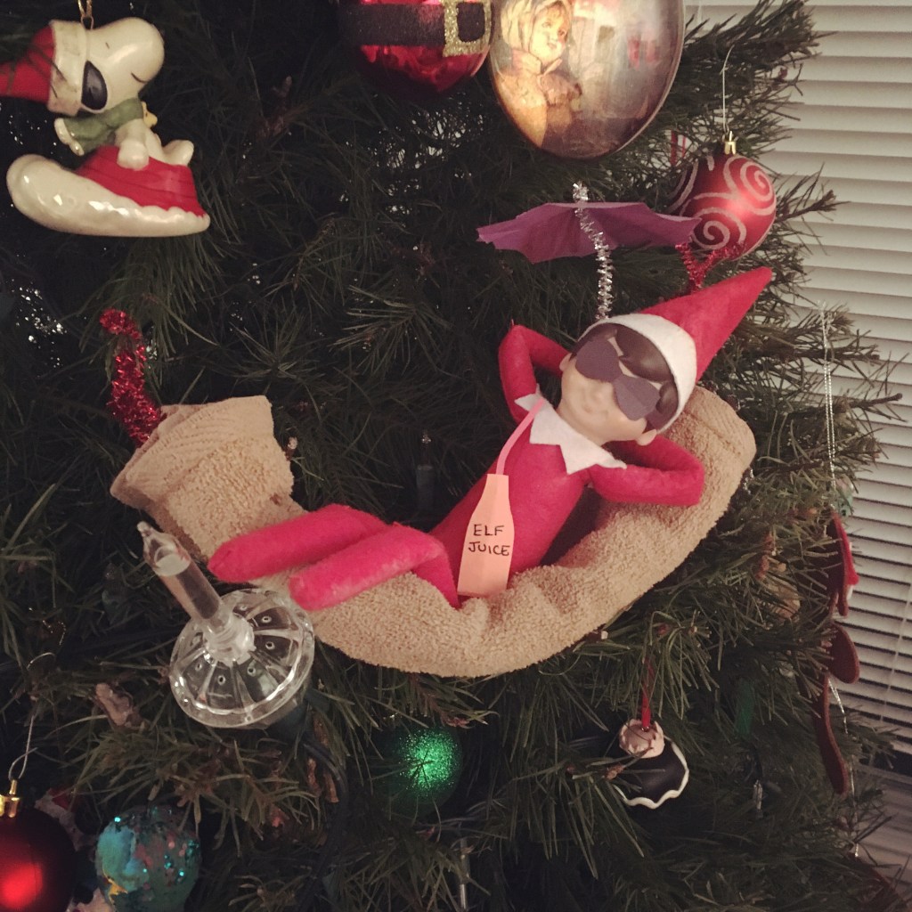 Elf on the Shelf&nbsp;Adventures