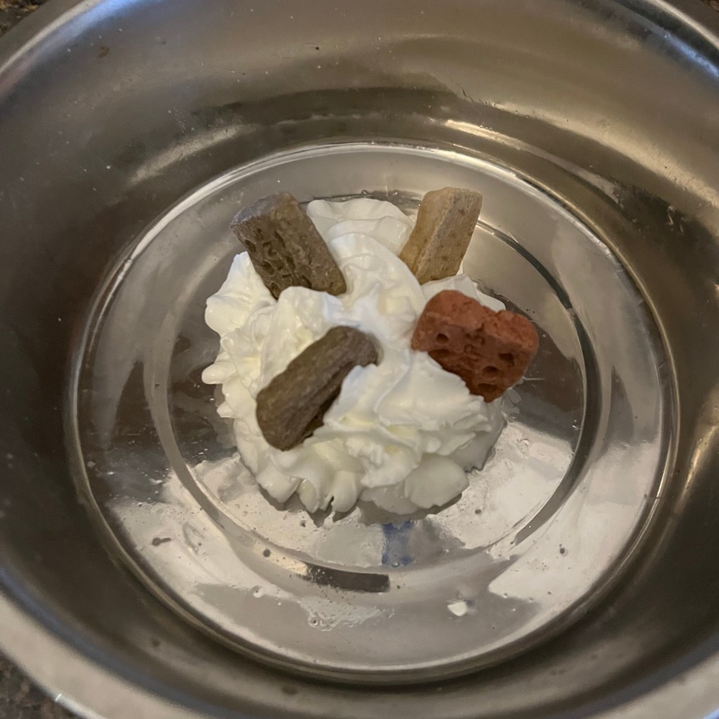 A Dog’s Thanksgiving