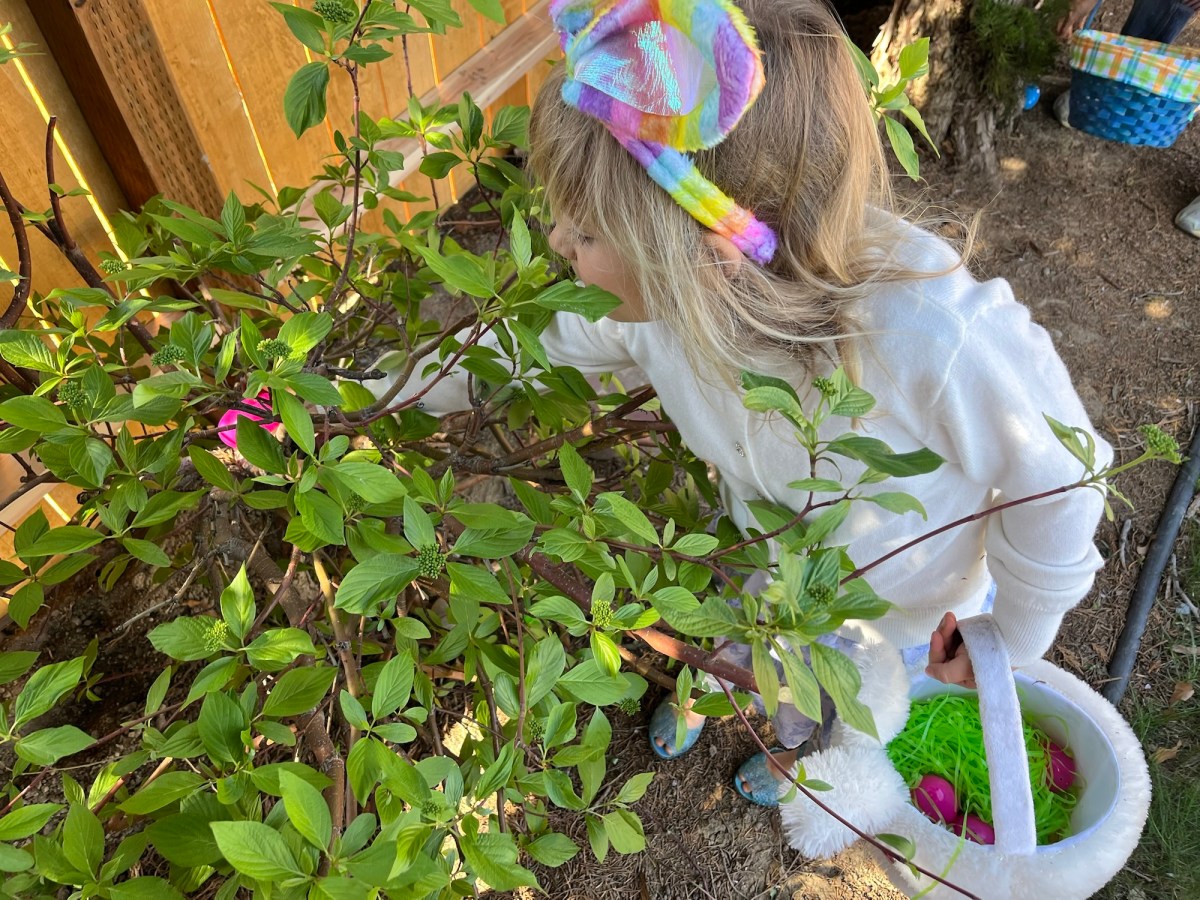 Happy Easter to&nbsp;All!